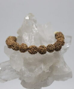 Alternative view of Rudraksha Tohum Bileklik 8mm