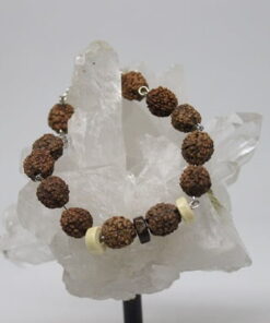 Rudraksha Tohum Bileklik