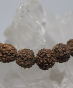 Alternative view of Rudraksha Tohum Bileklik 8mm