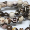 Jasper Zebra Taşı