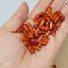 Desenli Ahşap Boncuk Silindir 5*11mm/35adet (54540)